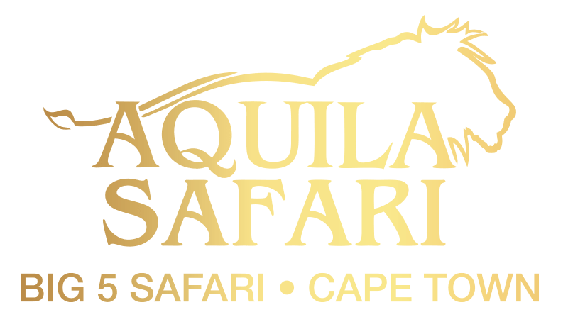 Aquila Safari Logo