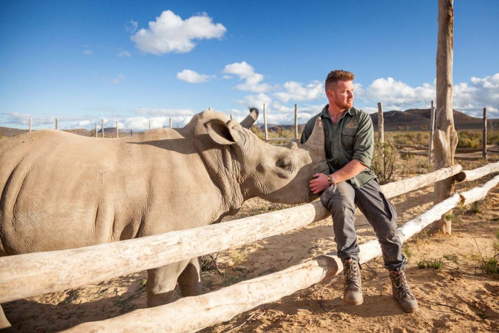 Orphaned Rhino being comforted by a game ranger at Aquila's Animal Rescue Centre (ARC), as part of the wildlife conservation initiatives.
