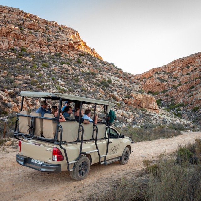 open safari vehicle driving guests through Aquila Private Game Reserve: shown as part of Aquila's Day Trip Safari Booking Guide
