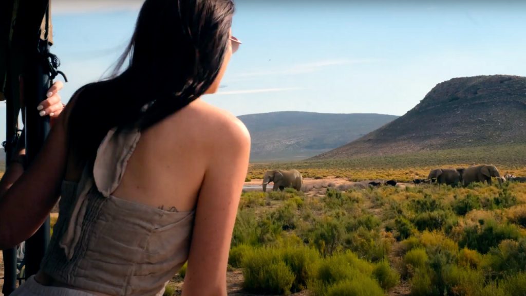 Image showing woman looking at African elephants at Aquila Big 5 Safaris on her Cape Town Tour and Visit South Africa